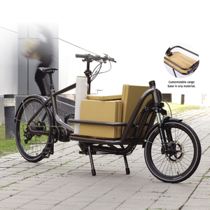2-Wheeled Cargo E-Bikes