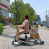 Electric Mobility Scooter