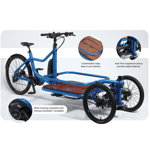 3-Wheeled Cargo E-Bikes