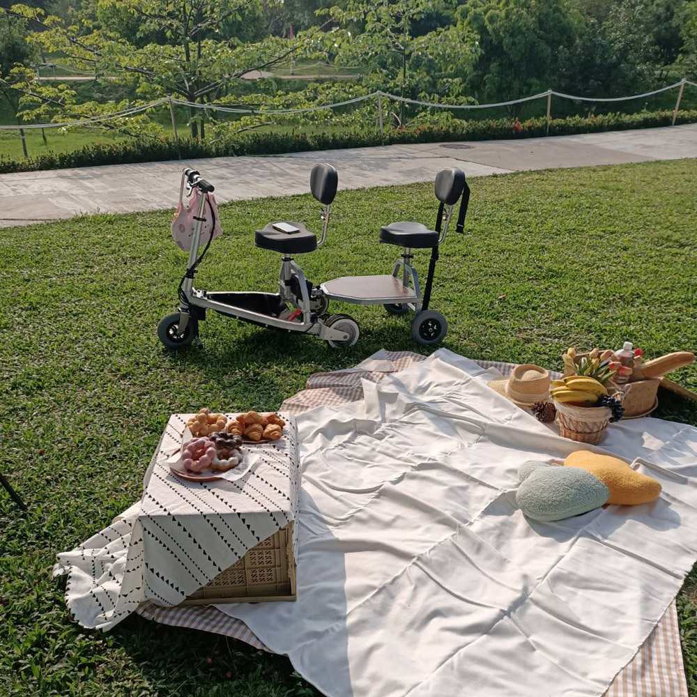 Electric Mobility Scooter